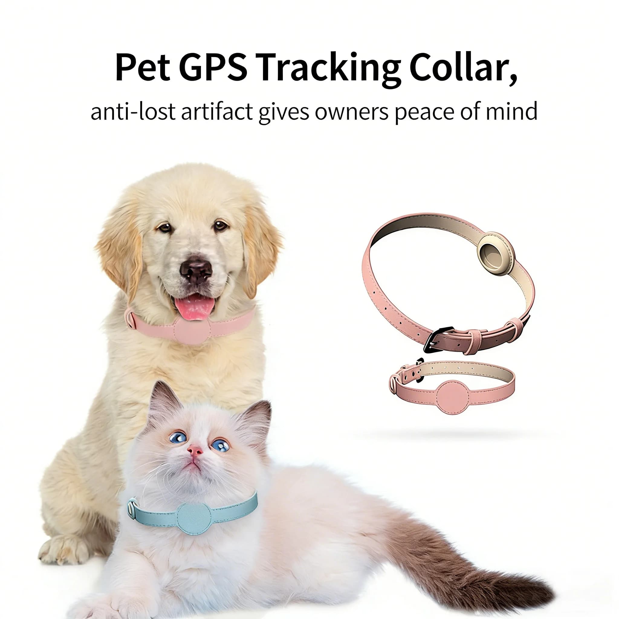Collare GPS in PU per cani e gatti con fascia regolabile e slot per localizzatore integrato - Collare per cani e fascia per gatti
