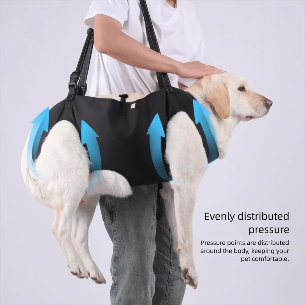 dogs accessAdjustable Dog Lift Harness Comfortable Help with Carrying Pet Backpacks Assisted Rehabilitation Dog Body Support Bag
