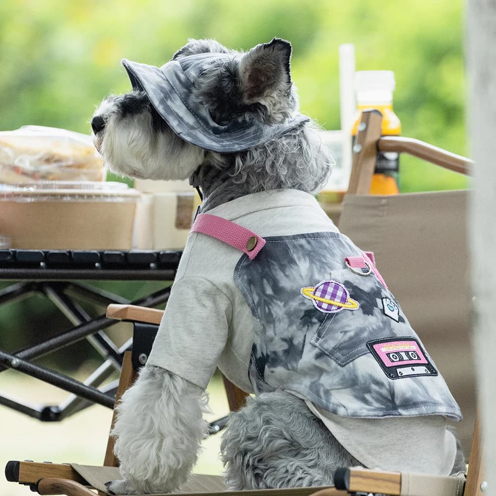 Pettorina per animali domestici alla moda Cinghie in denim per cucciolo Schnauzer con cappello Pettorina per cani di piccola taglia da viaggio all'aperto per orsacchiotto maltese Yorkshire