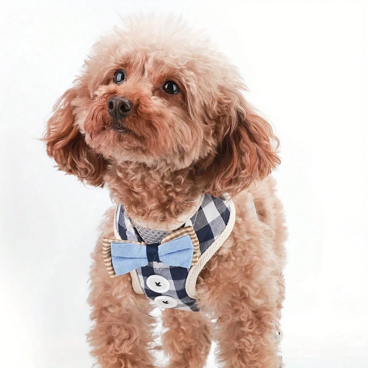 Pet Dog And Cat Harness Vest, Comfortable Mesh Dog Harness And Leash Set - Breathable, Reflective, Adjustable Size Pet Vest - Perfect For Puppies And Kittens