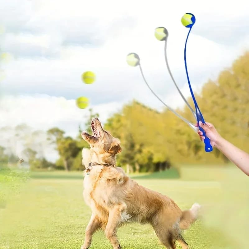 Pet Tennis Ball Launcher Stick - Interactive Outdoor Dog Training Toy, Durable Ball Thrower for Canine Exercise and Play Trainin