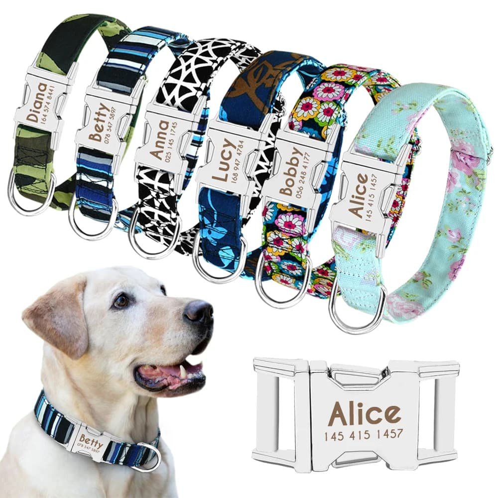Collare per cani Collare personalizzato per targhetta per cani in nylon Personalizzato Targhetta per cuccioli di gatto Collari identificativi regolabili per cani di taglia media incisi