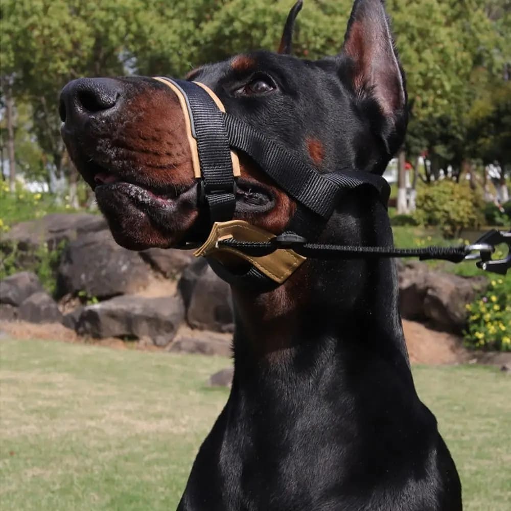 Museruola per cani a sgancio rapido, anti-morso, traspirante, in pelle con cinturino di sicurezza, copri bocca per cani, collare da addestramento