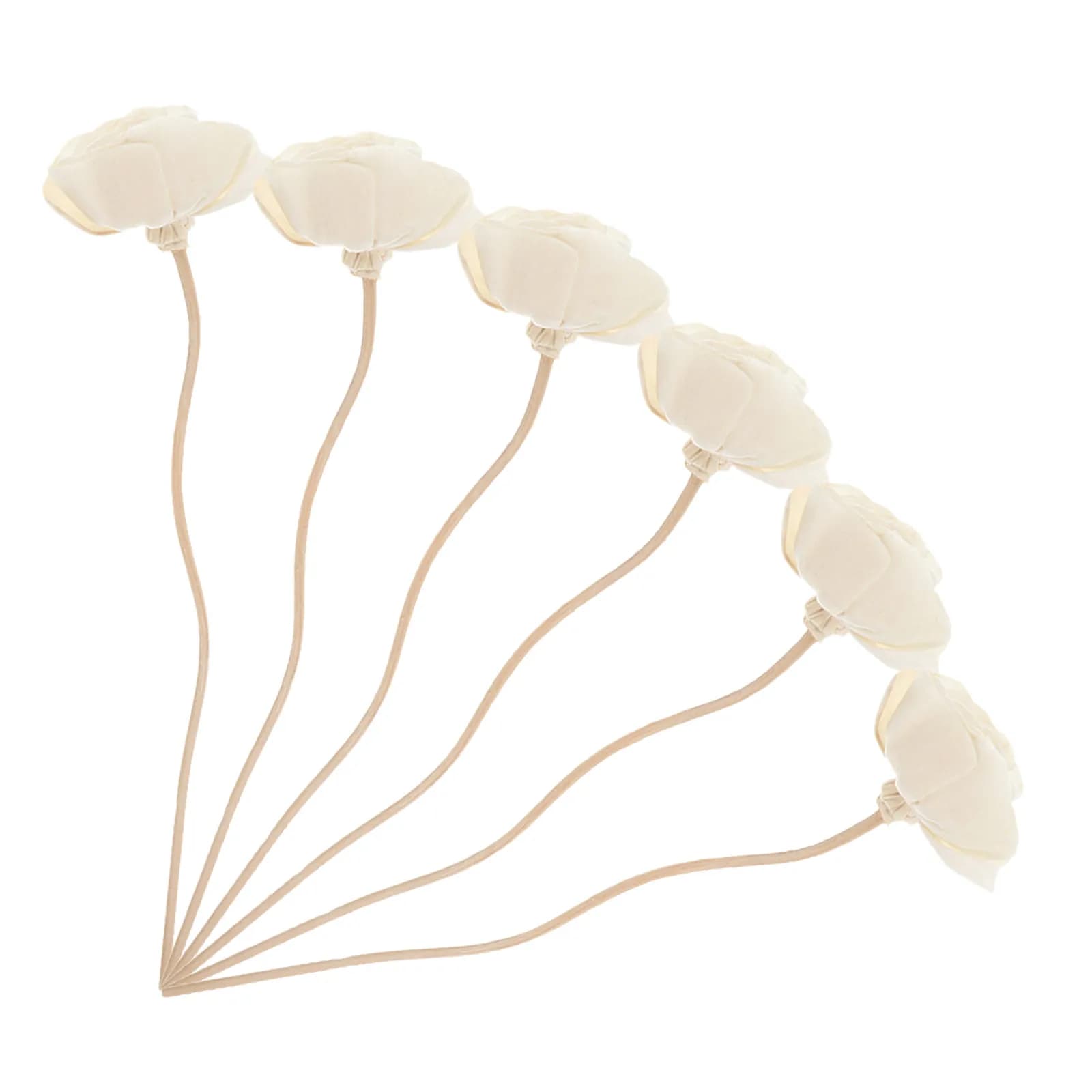 6 Bastoncini Diffusori di Aromi in Rattan con Fiori Secchi, Diffusori di Oli Essenziali per Casa, Camera da Letto, Bagno, Soggiorno, Bastoncini Profumati