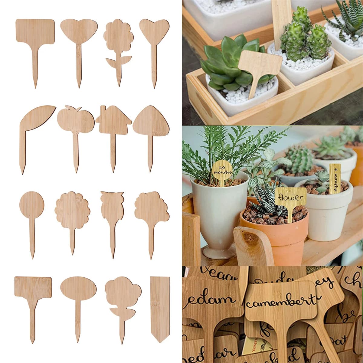 Labels for plants Labels for wood plant signs Multi-type bamboo garden markers Bonsai seeds Pot flower Plant oil plant tool 5/50 pieces