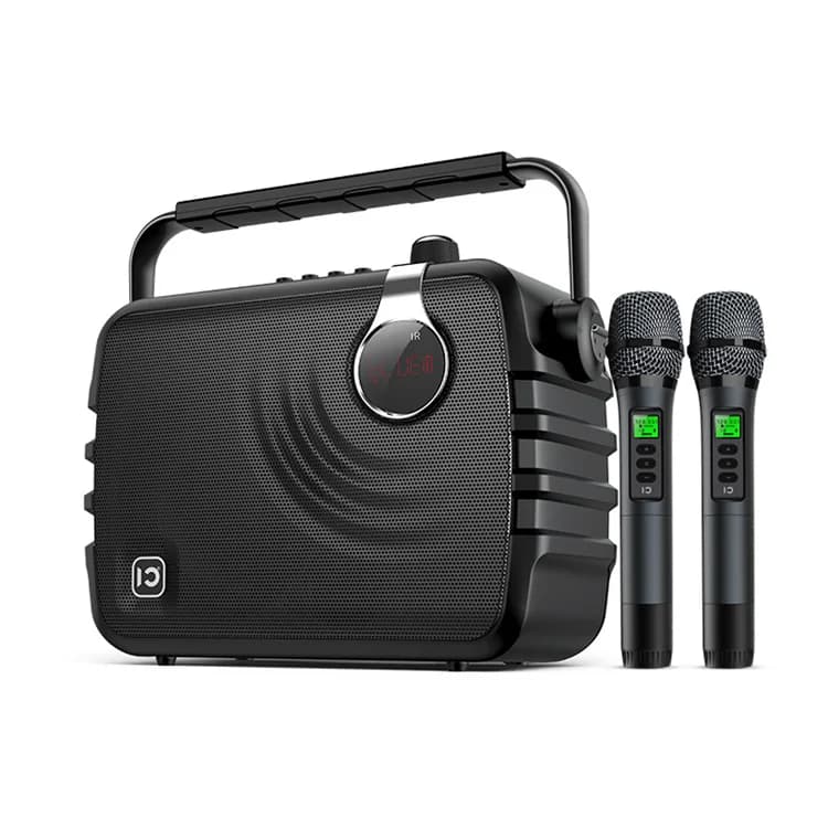 Sistema Karaoke Portatile 70W con Controllo Alti e Bassi, Altoparlante PA Bluetooth con Microfono Wireless