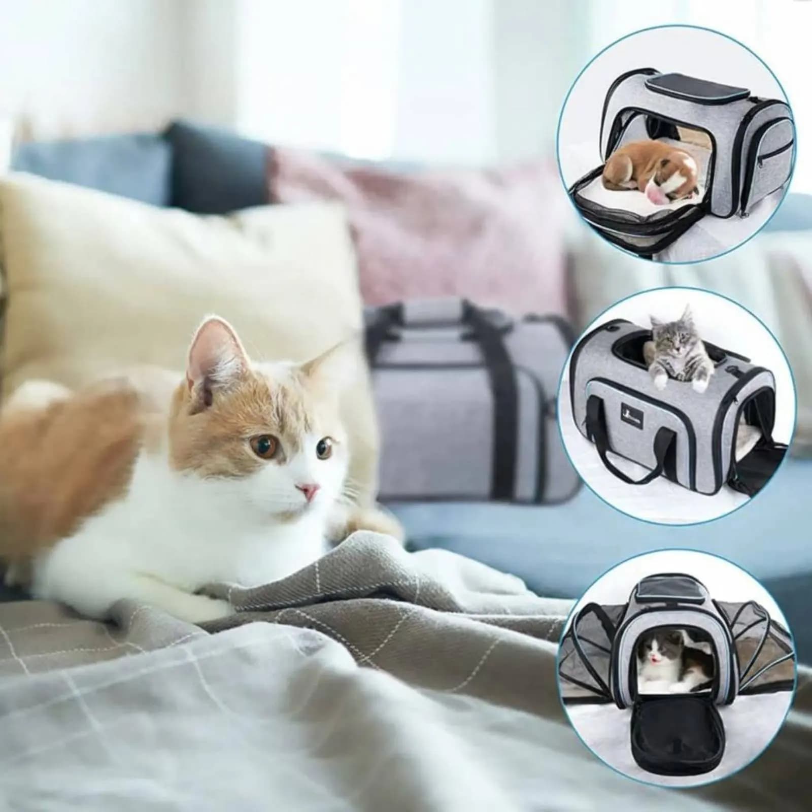 Borsa da Viaggio Portatile per Gatti, Trasportino Espandibile con Copertura Lavabile, Trasportino a Rete per Animali Domestici, Facile da Pulire, Guinzaglio Incluso