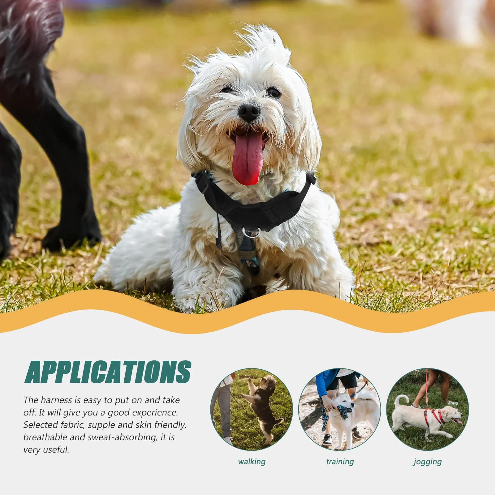 Imbracatura per Cani Resistente in Tessuto Oxford, Regolabile e Confortevole per Razze Medie e Grandi, Imbracatura Sicura per Passeggiate e Addestramento