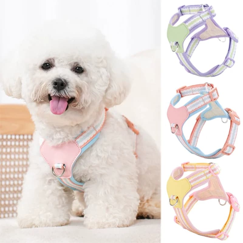 Dog Harness for Small Dogs Summer Puppy Vest Harnesses Striped Pet Costume with D-Ring Chihuahua Bichon Dog Chest Strap Cat Rope
