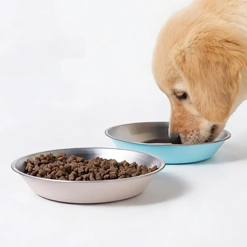 Ciotole per Gatti in Acciaio Inox con Base Antiscivolo in Silicone, Ciotola per Snack e Cibo per Gattini, Ciotola per Acqua per Gatti, Accessori per Animali Domestici