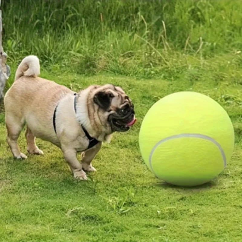 2 pezzi di grandi palline da tennis per animali domestici con pompa | Palline durevoli resistenti ai morsi per la pulizia dei denti di cani e gatti, gioco interattivo e salute dentale, design a strisce, tutte le razze e taglie, poliestere, non necessita di batterie, costruzione robusta