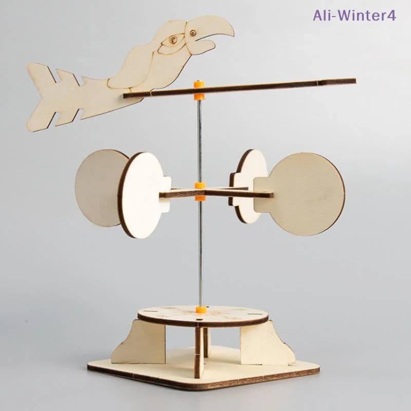 【Winter4】Kit Fai-da-Te per Bambini: Giocattoli Scientifici Educativi, Esperimenti di Fisica, Progetti STEM per la Scuola, Modello di Girandola