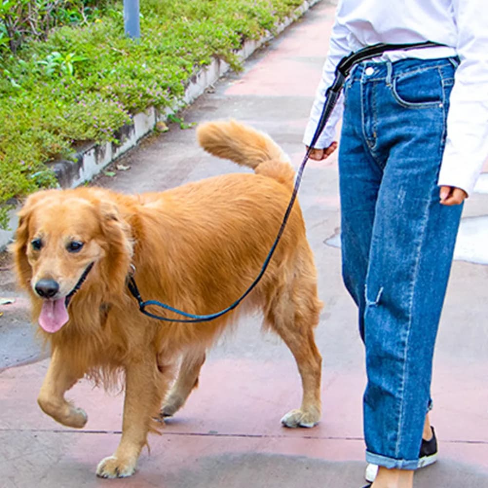 Guinzaglio per Cani a Doppio Strato in Nylon Resistente, Comodo per Passeggiate all'Aperto, Corda di Trazione Regolabile per Cani Piccoli e Medi