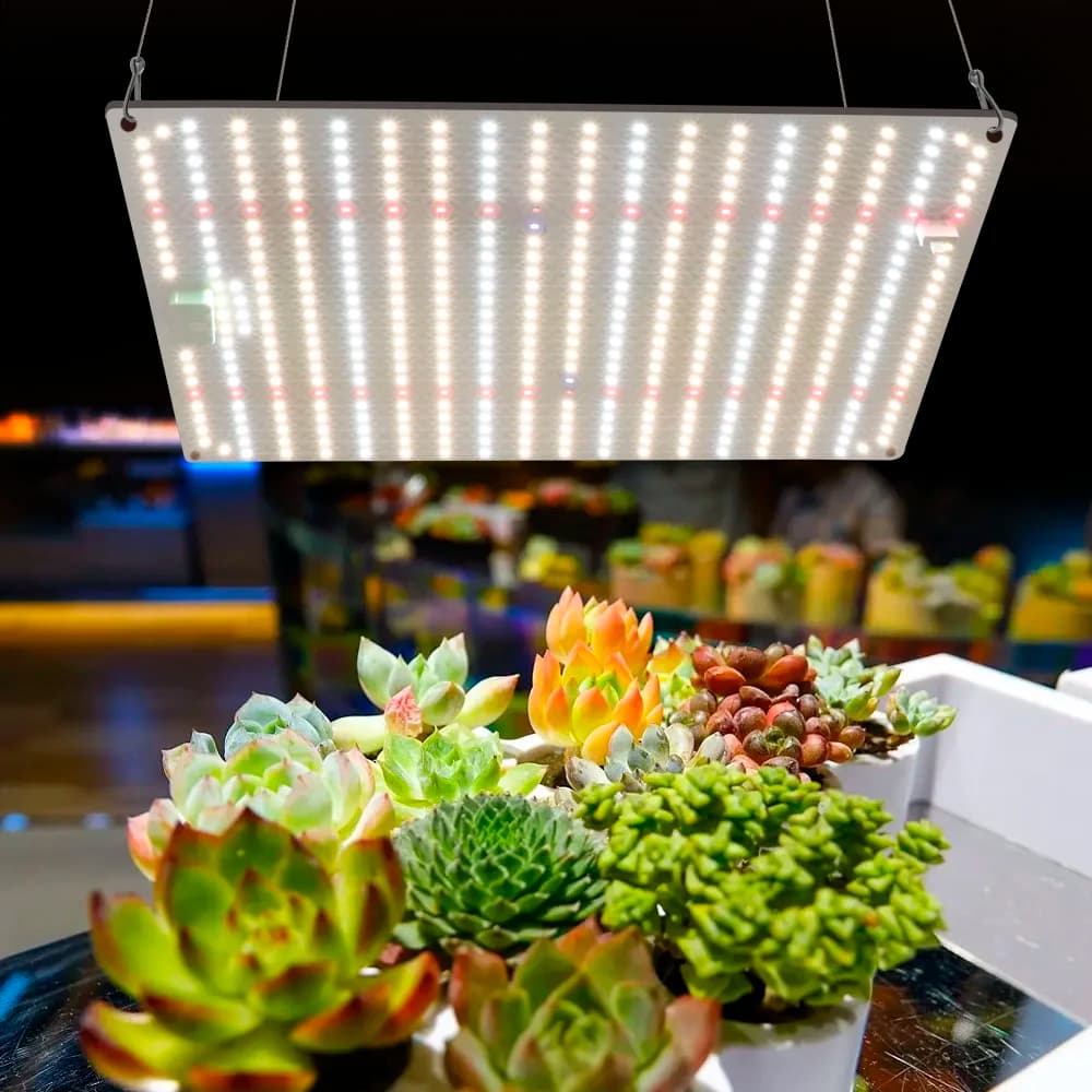 Luci LED per Coltivazione LM281B a Spettro Completo 1000W, Lampada LED per Piante da Interno, Fiori, Serra, Semi, Tenda per Coltivazione