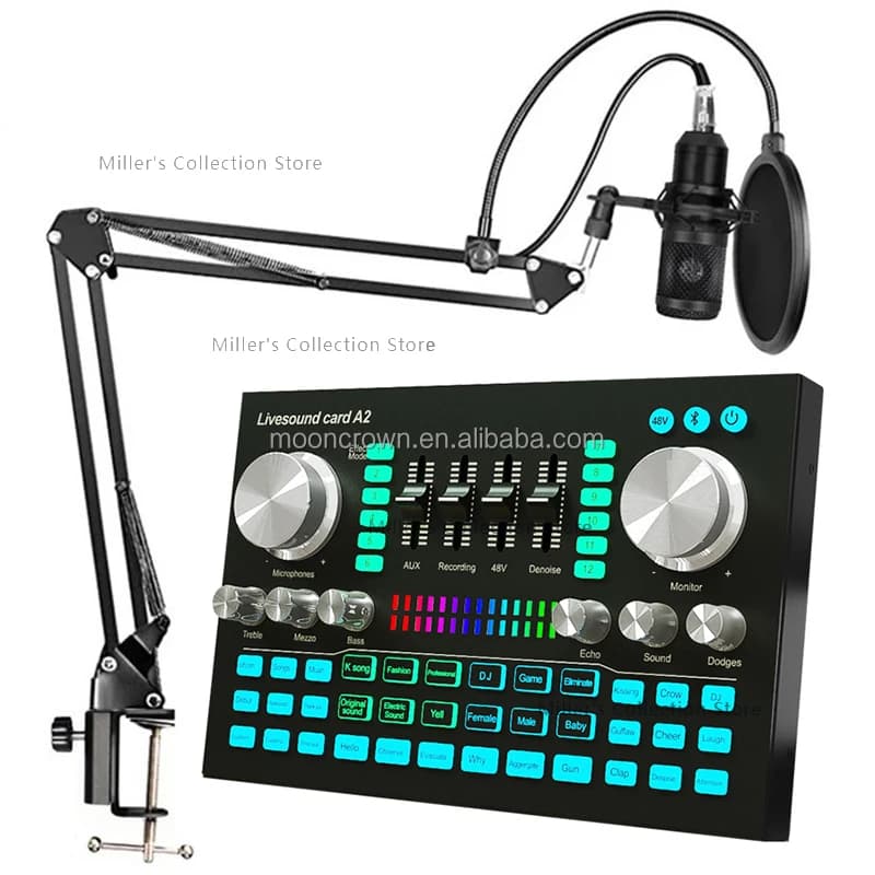 La scheda audio USB A2 con microfono Bm800 imposta il microfono a condensatore con scheda audio S1 per registrazione in studio professionale per podcasting per telefono cellulare
