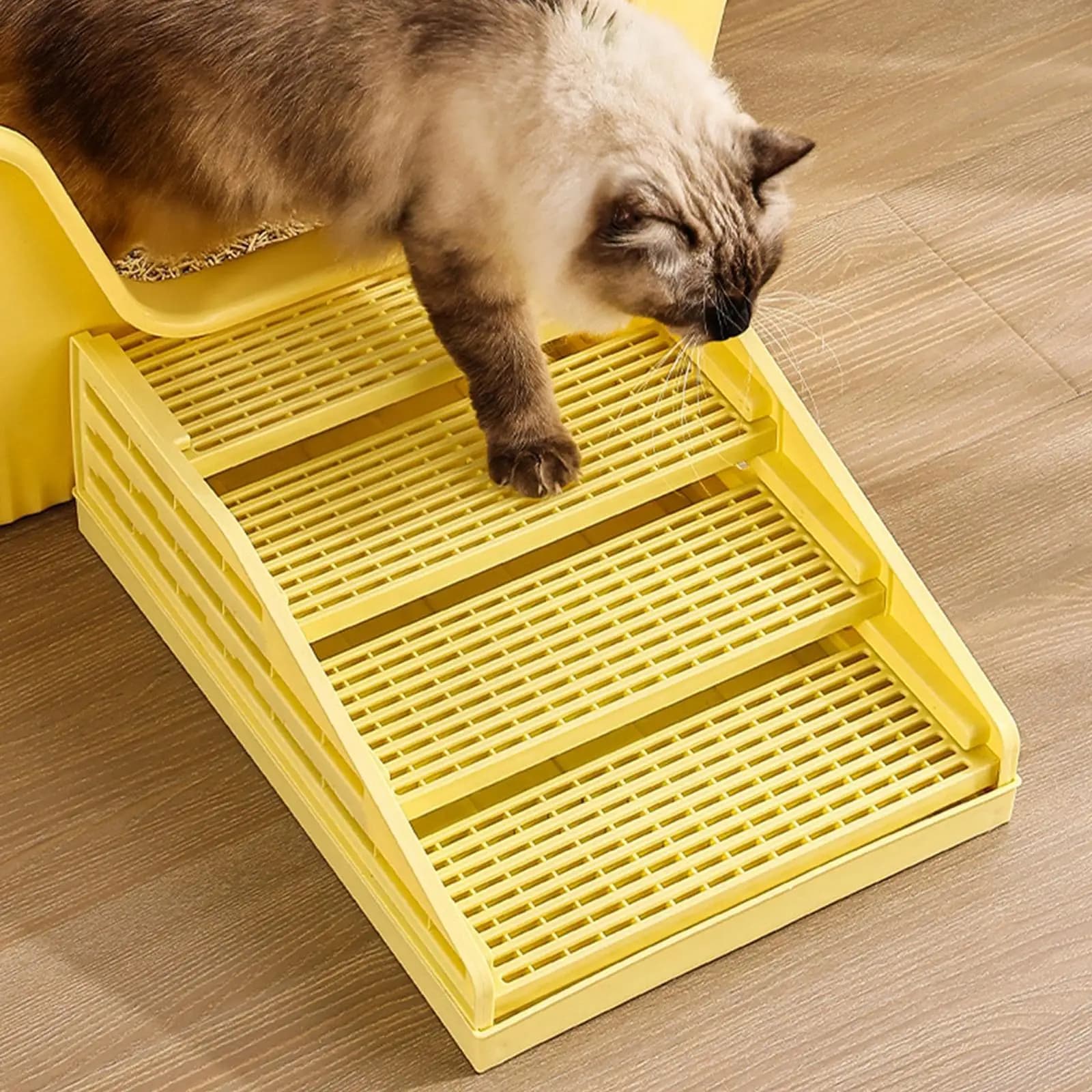 Rampa Regolabile per Lettiera Gatti con Tappetino a Doppio Strato Antiscivolo e Raccogli Lettiera per Gatti e Gattini da Interno