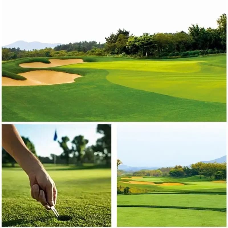 M5TC Forcone da golf portatile in acciaio inossidabile Forchetta da golf magnetica Strumento marcatore pallina da golf con Golf