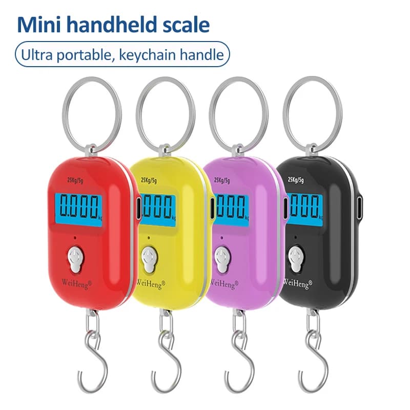 Bilancia sospesa portatile da 25 kg/5 g Mini bilancia digitale LCD per bagagli da pesca Portachiavi da viaggio Bilancia elettronica sospesa