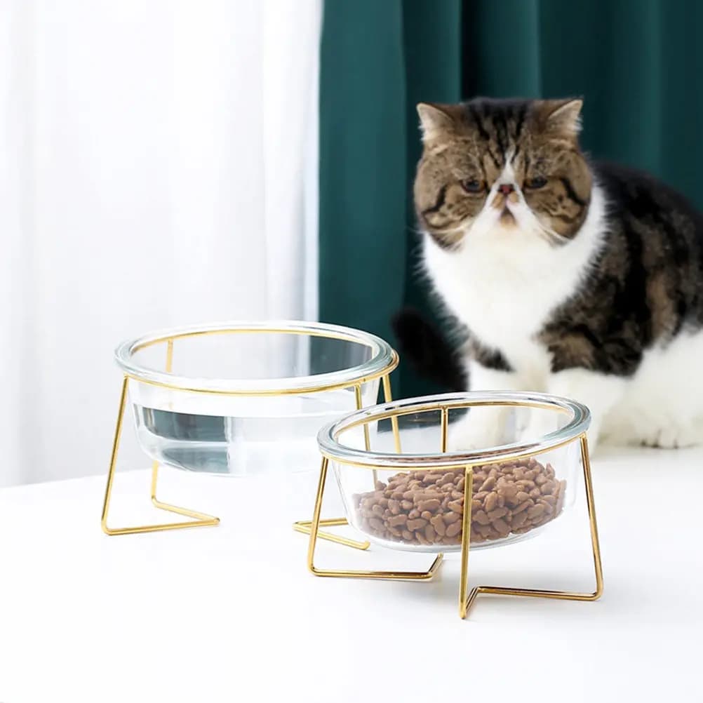 Ciotola Rialzata per Animali Domestici con Base Alta, in Vetro, Angolo Obliquo, per Cani e Gatti, Contenitore Comodo per Cibo e Acqua