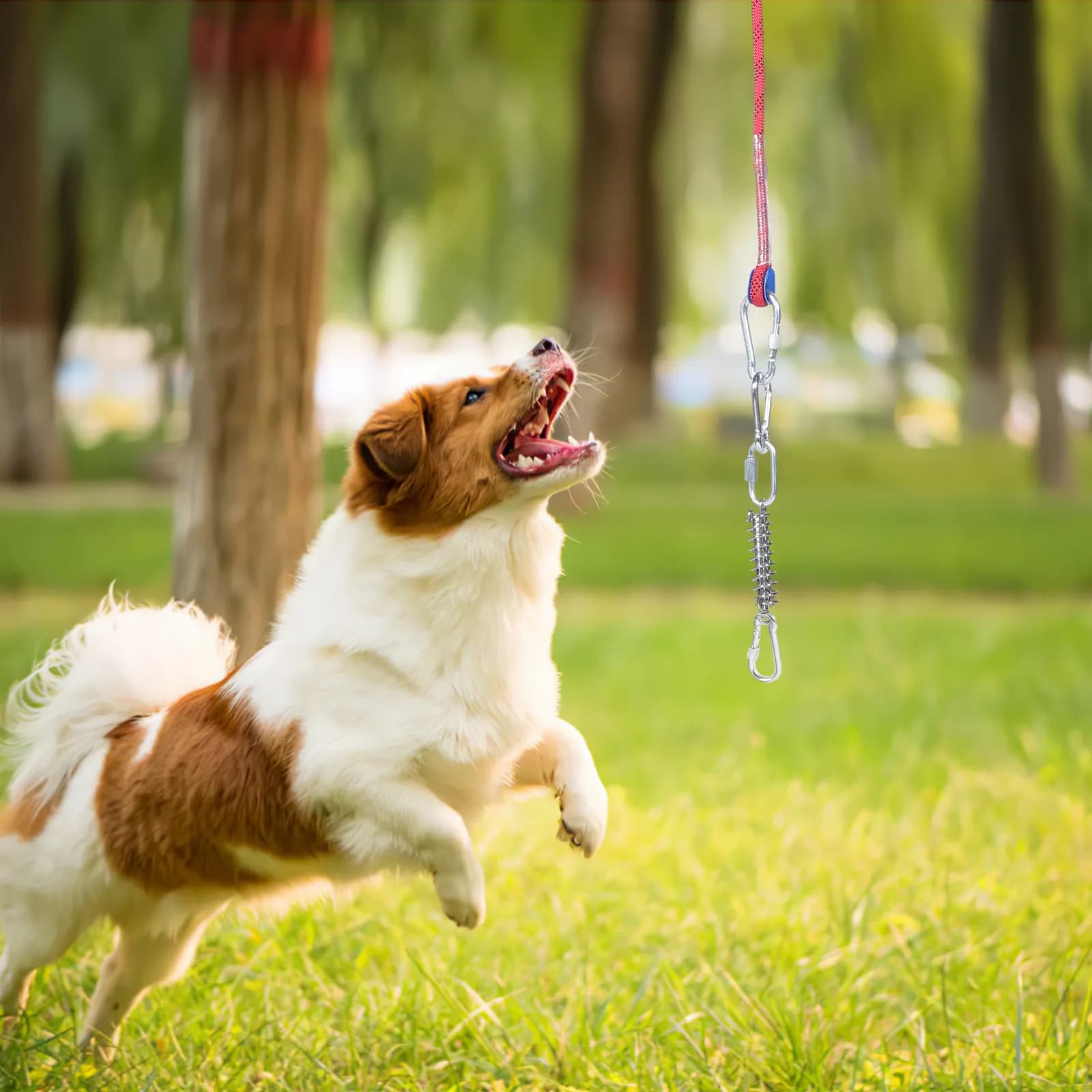 Set di Cavi per Legare Cani, Robusti e Riutilizzabili, Guinzaglio per Campeggio, Corda per Esterni, Resistente per Cuccioli, Passeggiate in Giardino e Corsa