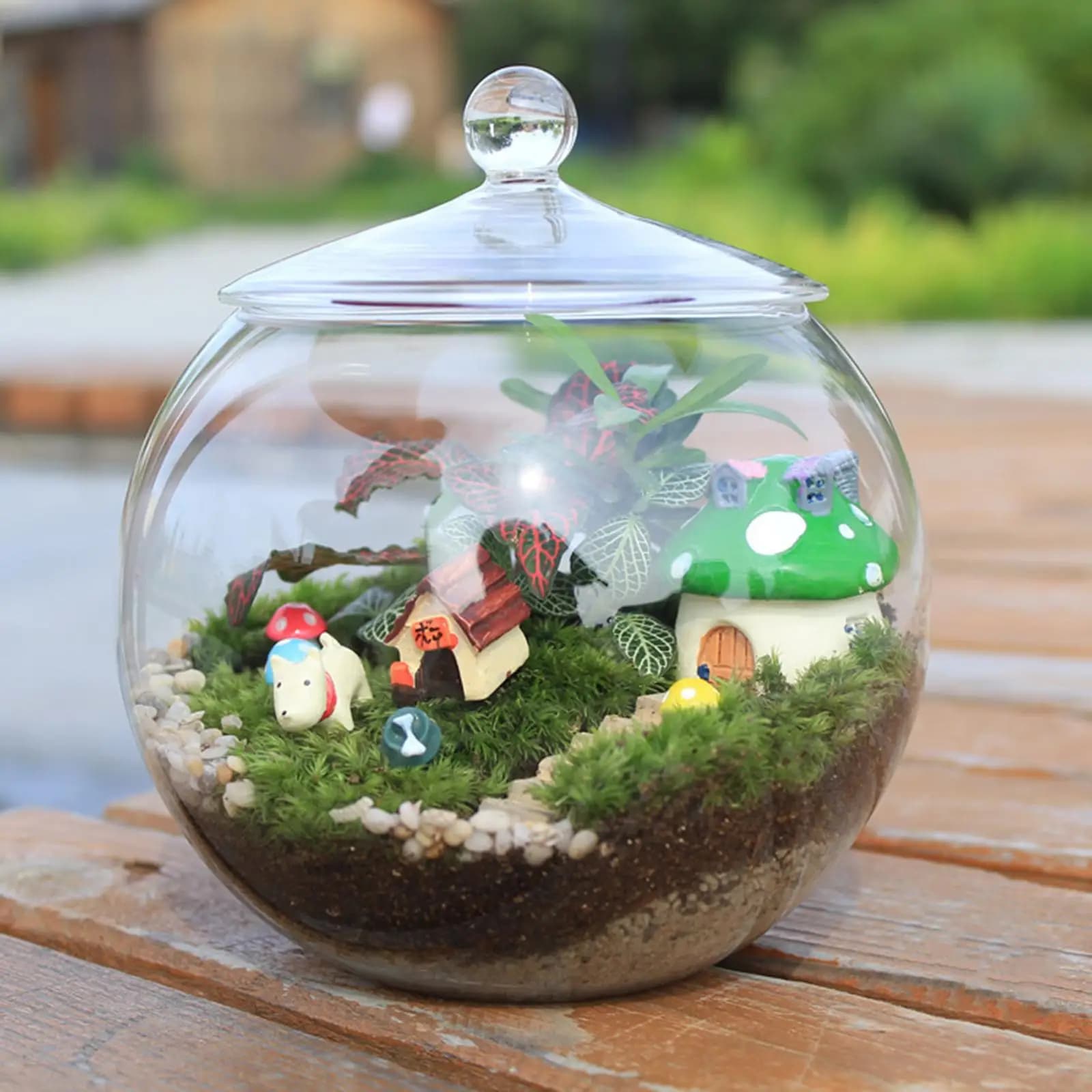 Decorative Glass Terrarium Micro Landscape Vase Sealed Round Jar Container for Home Tabletop Flower and Plant Display