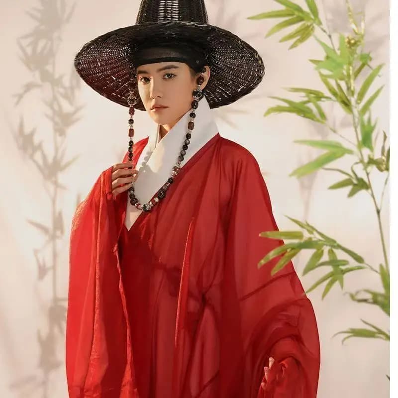 Traditional Chinese Ming Dynasty Hanfu Men Women Cross Collar Large Sleeve Long Robe Halloween Event Graduation Cosplay Costume