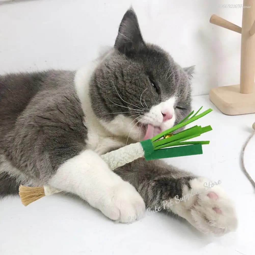 Giocattolo per Gatti a Forma di Cipolla, Morbido Giocattolo da Masticare in Feltro per Alleviare la Dentizione e Allenare il Gattino