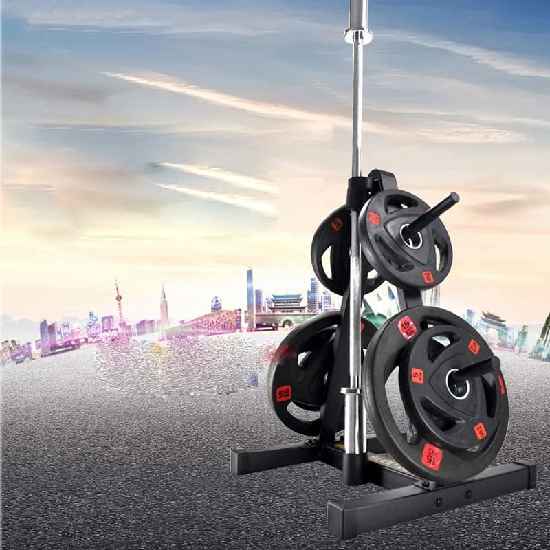 Gym Fitness 25/50mm Opening Barbell Disc Rack Manubri Plates Support Rod support Weight training equipment Storage bracket