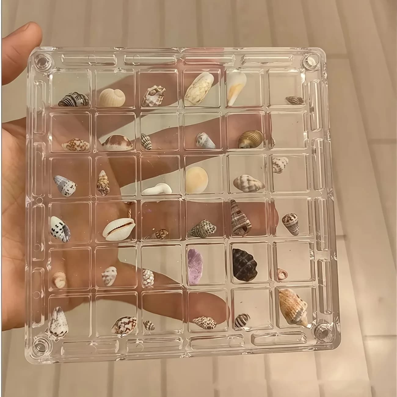 Scatola portaoggetti in acrilico a 36 scomparti per conchiglie, mini teca per campioni con coperchio magnetico, organizer per collezioni quotidiane