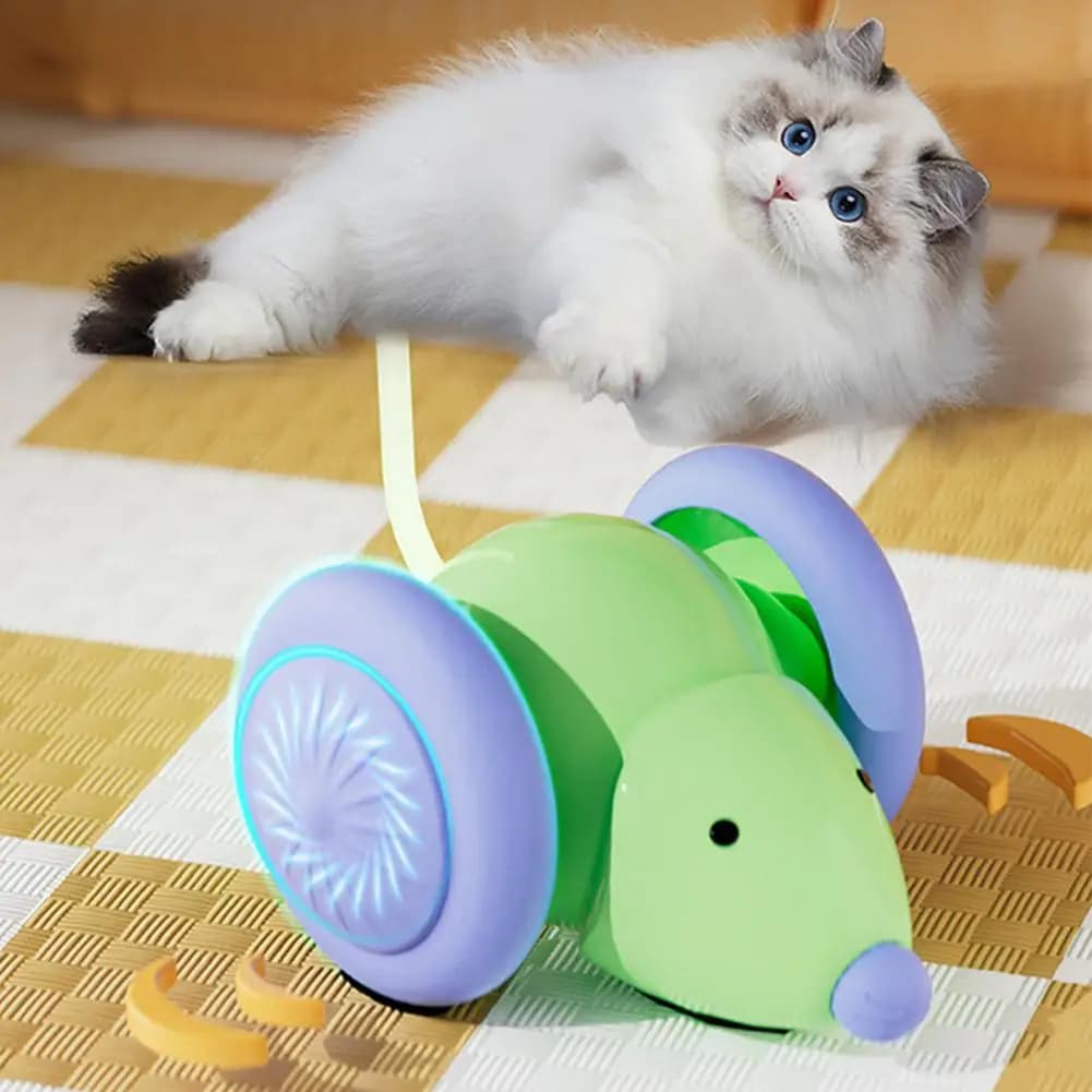 USB ricaricabile intelligente giocattolo per gatti palla rotolante automatico rimbalzo teaser interattivo in silicone anti-morso regalo di Natale per animali domestici