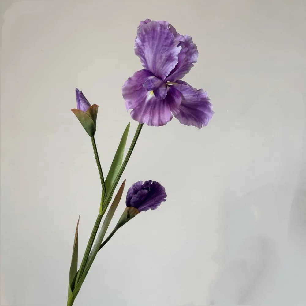 80cm Artificial Iris Flower Branch DIY Accessories Photography Props Simulations Branches Multi-scene Oil Painting Style