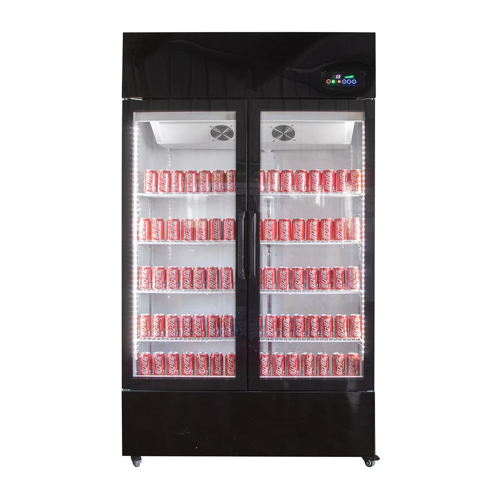 Frigorifero per Bevande da Bar, Frigo Cantina Vino da Cucina con 2 Porte in Vetro, Refrigeratore per Birra e Vino