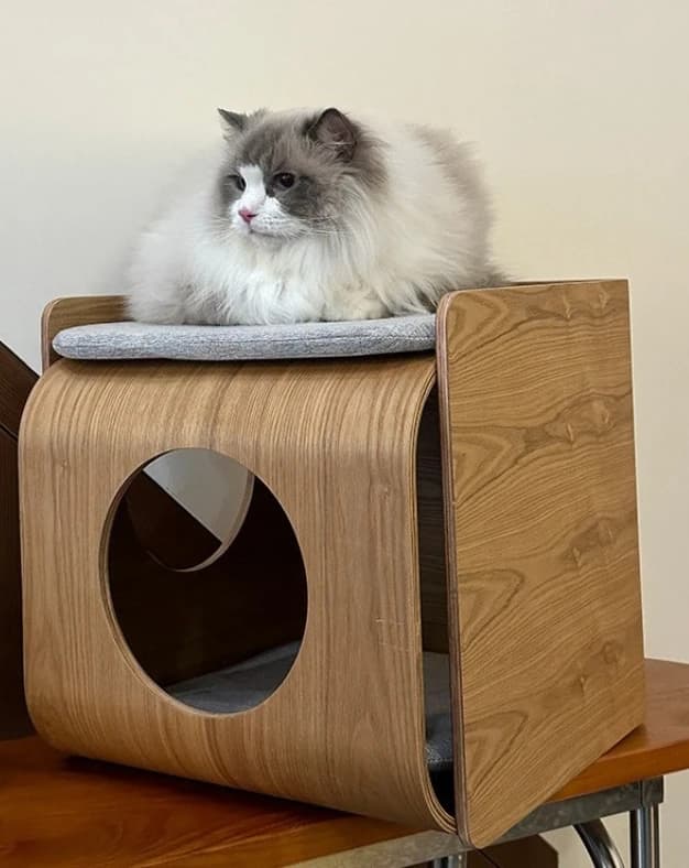 Tavolino in Legno Massello 2026 per Animali Domestici, Comodino Lavabile per Gatti e Cani, Arredamento Minimalista Condiviso con Design Salvaspazio