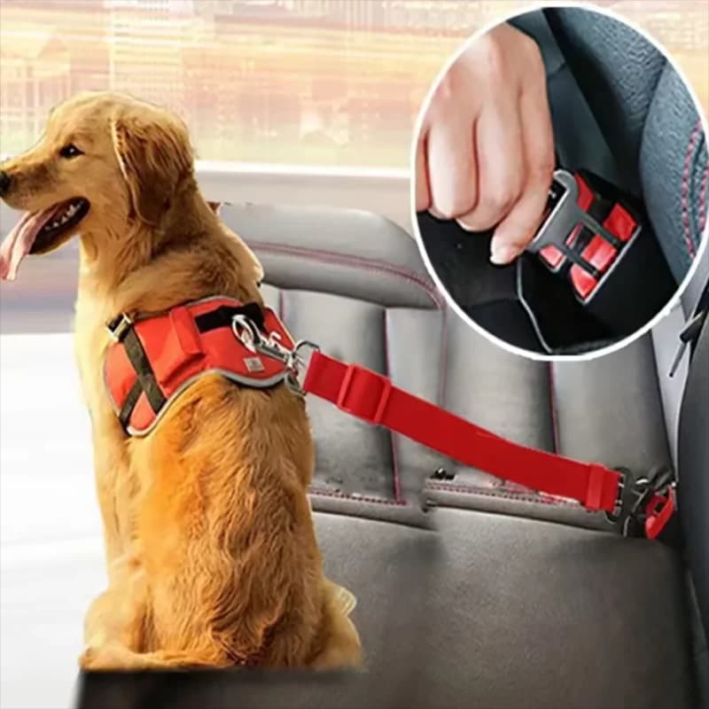 Adjustable Dog Car Seat Belt - Retractable Elastic Safety Leash with Shock Absorption, Pet Car Safety Harness for Dogs