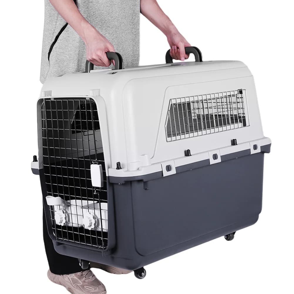 Trasportino per Animali Domestici per Cani e Gatti, Ideale per Lunghi Viaggi, con Maniglia e Porta in Metallo, Resistente, Omologato per Voli Aerei