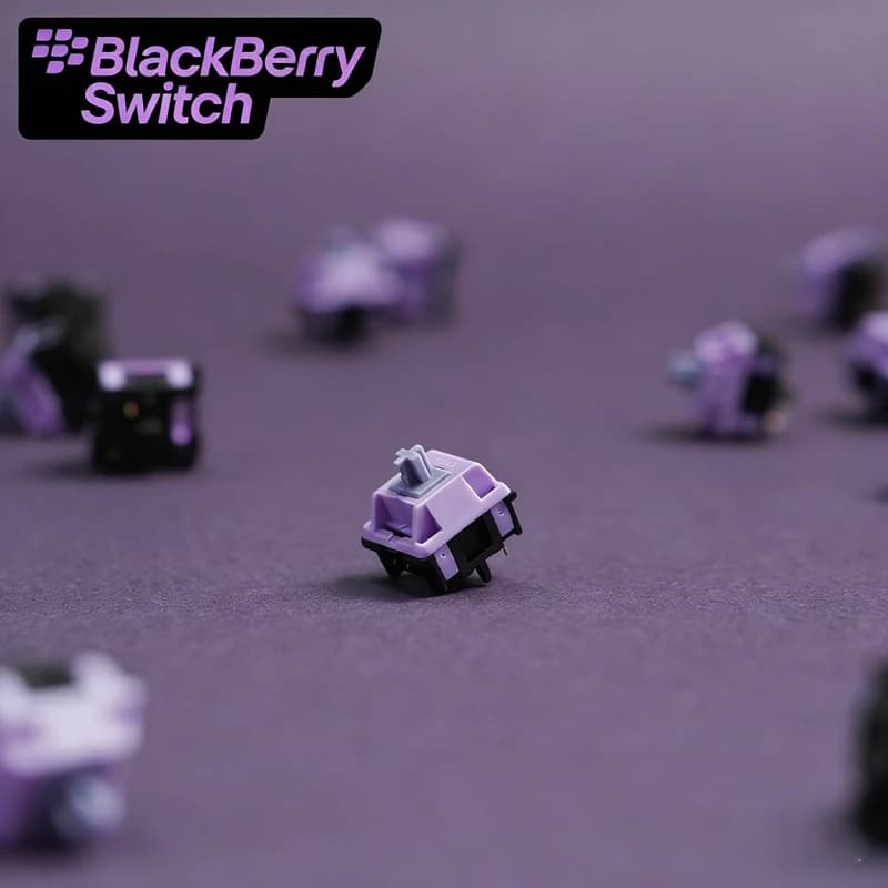 HMX Blackberry Switch - Interruttori Lineari Silenziosi con Lubrificazione di Fabbrica 42g, 5 Pin, Asse POM+TPE - Accessori Personalizzati per Tastiere Meccaniche