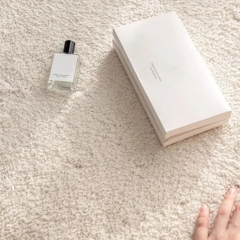 Tappeto super morbido in tinta unita per soggiorno, divano in stile minimalista moderno, tavolino, tappeto spesso per camera da letto, guardaroba semplice