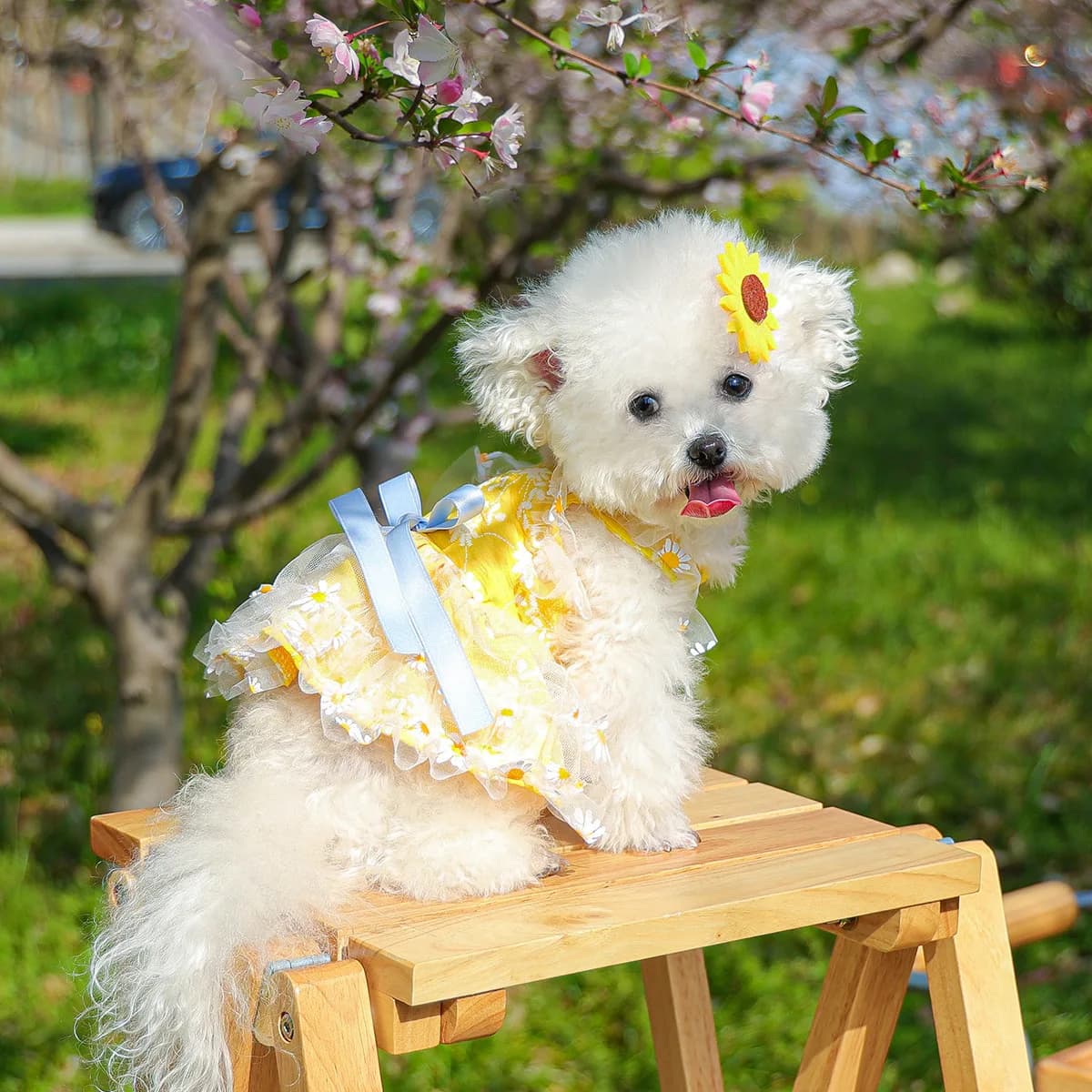 Spot Pet Clothing Pet Puppy Cat Clothing Cute Small Dog Spring Summer Daisy Flower Suspender Skirt