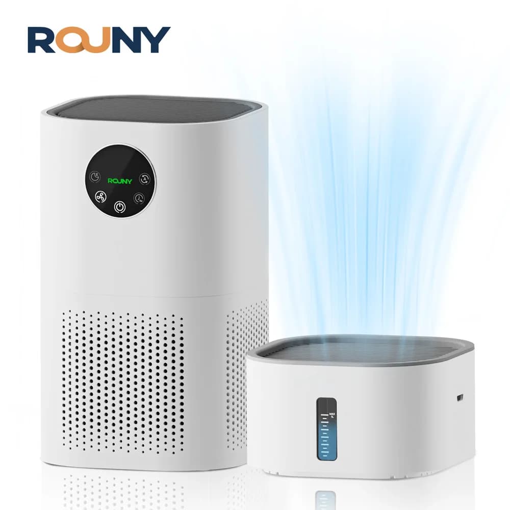 Purificatore d'aria 2 in 1 con umidificatore combinato per allergie domestiche e peli di animali domestici, fumatori in camera da letto, filtro H13 True HEPA