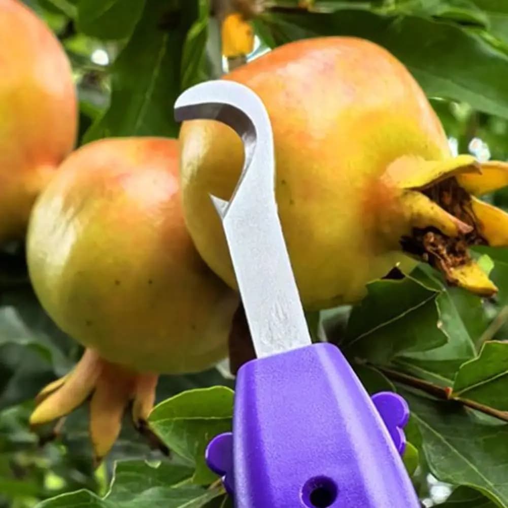 Handheld Berry Picking Tool Ergonomic Thorn-Proof Fruit Harvesting Shears Heavy-Duty Anti-Scratch Pruning Cutter Gardening