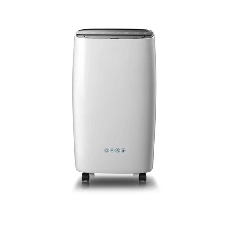 Potente e Conveniente Mini Deumidificatore Domestico con Filtro a Carboni Attivi per Armadio e Singola Stanza, 12L al Giorno