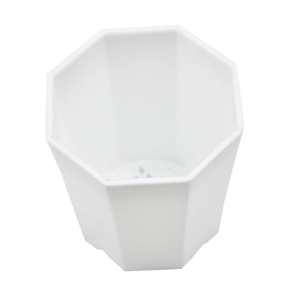 Set di 10 mini vasi in plastica per piante grasse, cactus, felci e piante da interno con funzioni di drenaggio