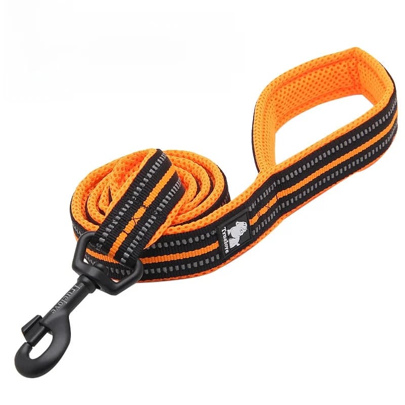 Guinzaglio per Cani, Corda da Passeggio per Cani Piccoli, Medi e Grandi, Teddy, Golden Retriever, Materiale in Nylon Non Estensibile