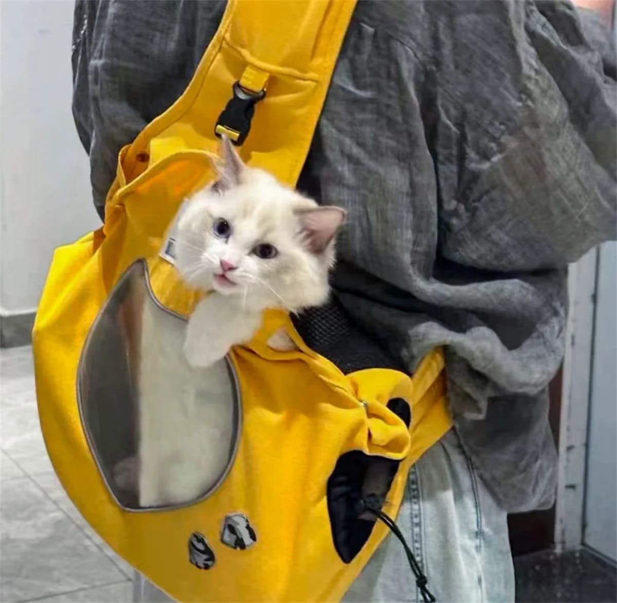 Zaino porta cani Comodo zaino frontale per cani Zaino da viaggio per cuccioli di animali domestici con design traspirante
