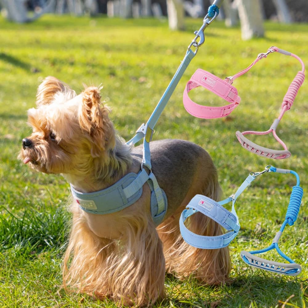 1 Set Breathable Mesh No-Pull Dog Harness + Leash Adjustable Escape-Proof Vest Leash for Pet Small Medium Dogs Outdoor Walking