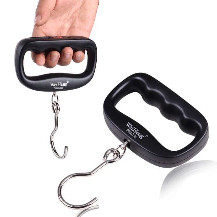 Bilancia portatile portatile da 50 kg con manico grande, pacchetto espresso per bagagli elettronici, bilancia da pesca, bilancia a molla di precisione