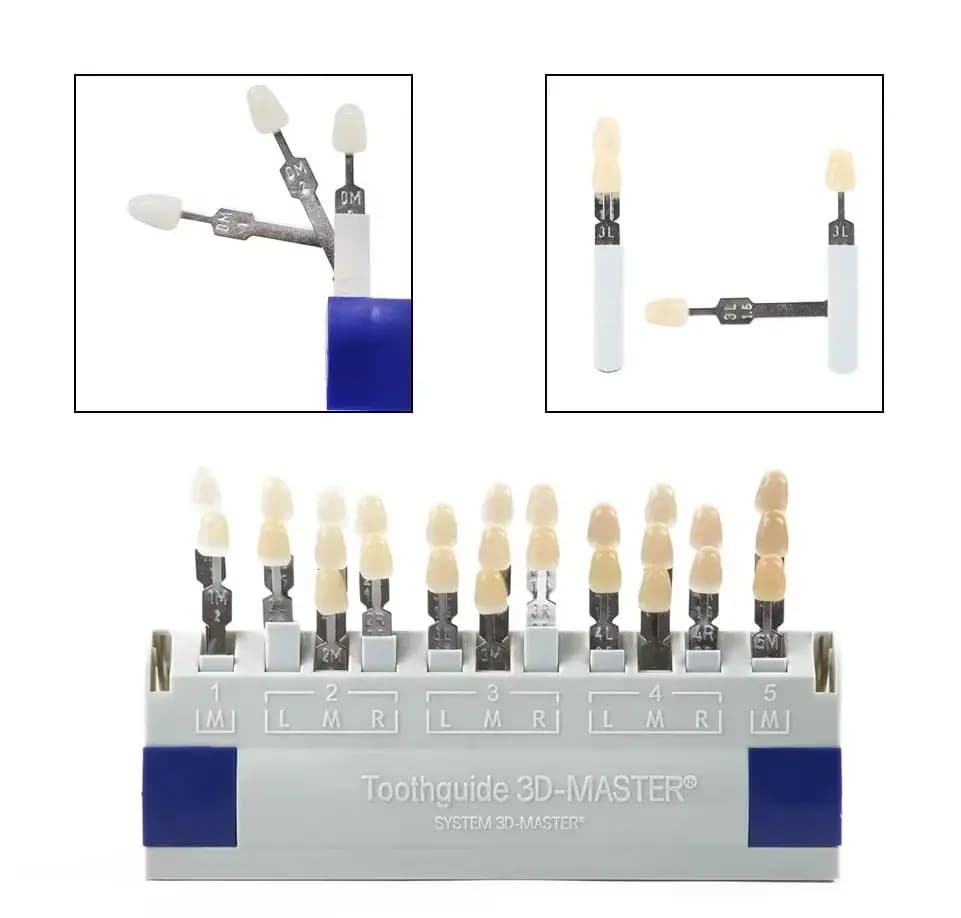 Vita 3D Master Dental Lab Bleach Shade Guide 29 Colors Teeth Whitening Comparing Toothguide Dentistry Clinic Colorimetric Plate