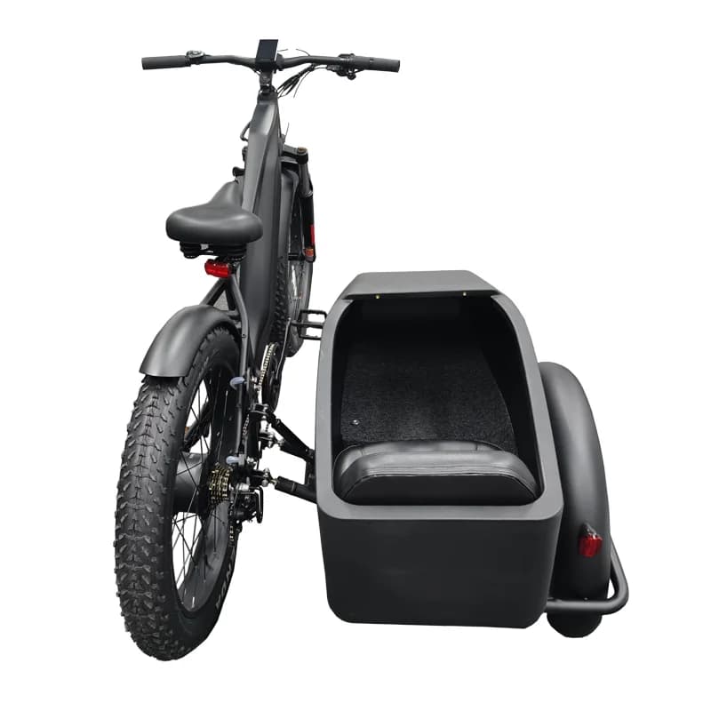 Triciclo elettrico sidecar bicicletta elettrica pet-friendly pedale a tre ruote assistenza 250W 500W autostrada