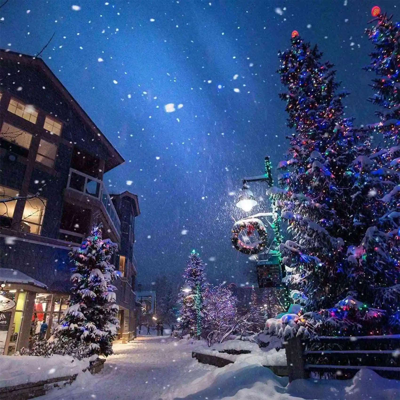 Y50A-Solar LED String Lights, lucine natalizie flessibili impermeabili da 10 m, utilizzate nei cortili esterni, colori 2 pezzi