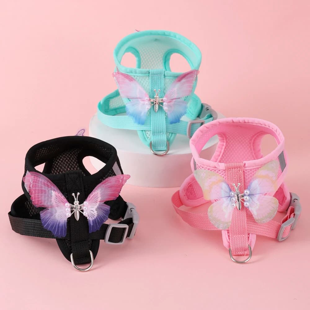 Nuovo Set Pettorina Traspirante per Gatti e Cani Piccoli con Motivo a Farfalla, Accessori per Passeggiate all'Aperto